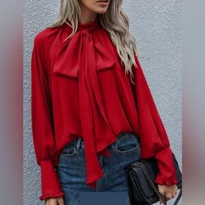 Ruffle trim tie neck blouse
